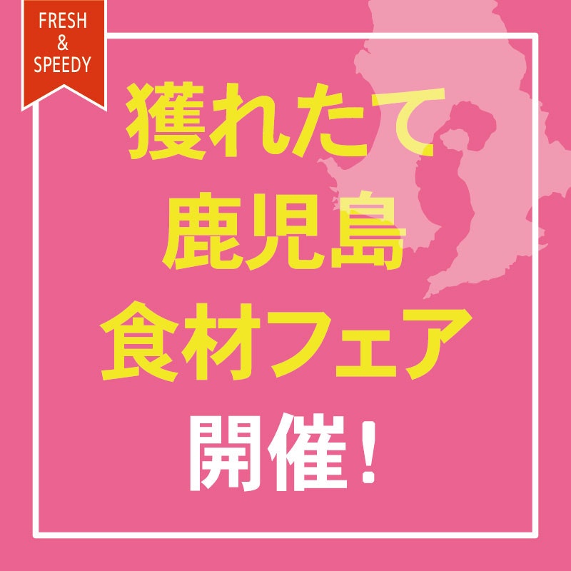 JR九州フードサービス株式会社の新着情報