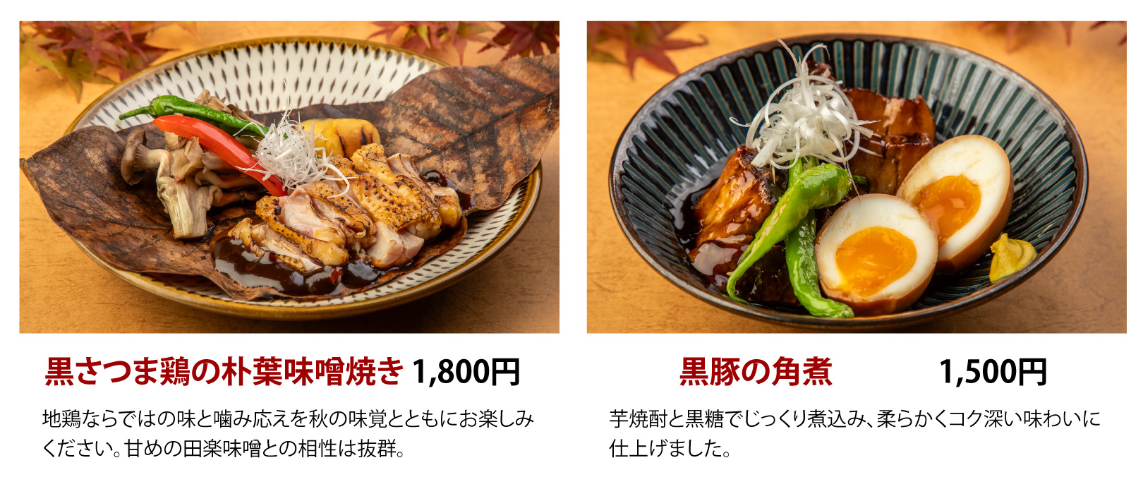 鹿児島の三大“黒”フェアを開催します ｜JR九州フードサービス株式会社